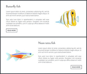 Butterfly and Neon Tetra Fish Landing Page with Text