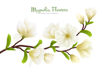 Canvas Print - Realistic White Magnolia Flower Composition