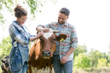 Smiling man and woman standing with cow at farm