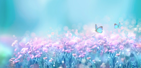 Fotomurales - Floral spring natural landscape with wild pink lilac flowers on meadow and fluttering butterflies on blue sky background. Dreamy gentle air artistic image. Soft focus, author processing.