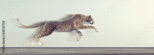 Fotografía A beautiful cheetah running