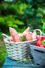 Wall Mural - Fresh vegetables on wood