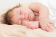 © Nexa - Sleeping newborn caucasian baby