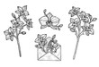 © bleskk - Orchid flower illustration, drawing, engraving, ink
