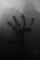 The imprint of the palm of human hand on frozen window glass. Wet window glass with hand shape print on scaring black background. Close up picture textured foggy surface