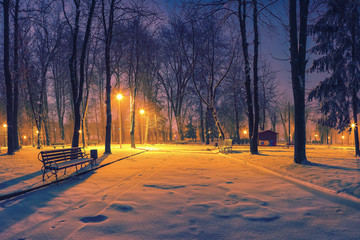 Wall Mural - Winter evening in a central park.