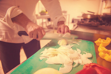 Wall Mural - Chef hands cutting fresh and delicious vegetables