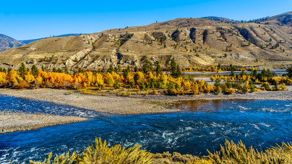 Fall colors surrounding the Thompson River, just north of the town of Spences Bridge on the Fraser Canyon route of the Trans Canada Highway in British Columbia, Canada
