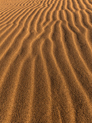  Sand Dunes Under a Warm Sun