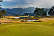 Golf Course Background