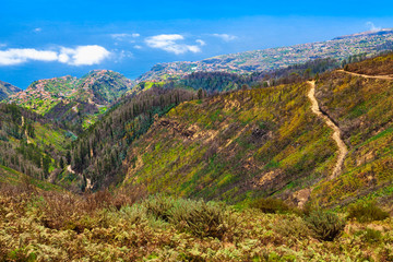 Wall Mural - Mountain landscape of Madeira Island