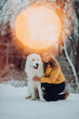 © Kseniya - Girl embracing cute big white dog in winter park. The girl sit with the Maremma . Forest on background. sparkler