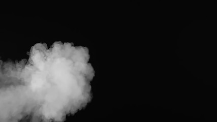 Wall Mural - white smoke on black background in slow motion.