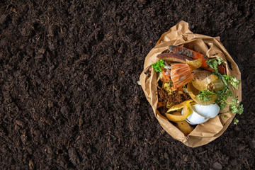 environmental control.Sorting of food waste in the environmental packages.