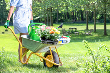 Pretty Blond Woman Works In The Garden In Spring - She Pushes A Wheelbarrow With Flowers And Earth Over A Green Meadow