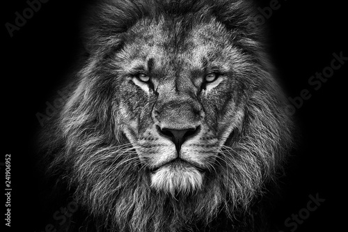 Obraz na plátne  King face BW