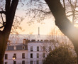 Eiffel Tower and Paris skyline seen from Montmartre in Paris, France