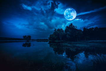 Wall Mural - Beautiful full moon and cloudy on blue sky above silhouettes of trees, lake area.