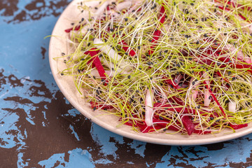 Wall Mural - Healthy salad with raw beetroot, radish and leek sprouts