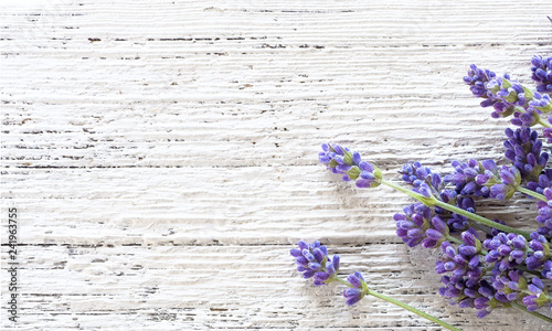 Stampa su Tela  Lavender on white wooden background
