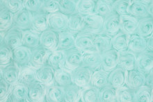 Pale Teal Rose Plush Fabric Background