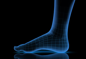 3d illustration,vector foot volume, health and shoe selection