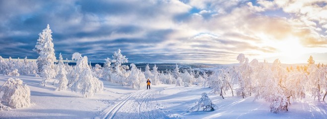 cross-country skiing in winter wonderland in scandinavia at sunset