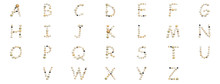 Letters Of The English Alphabet Collected From Seashells