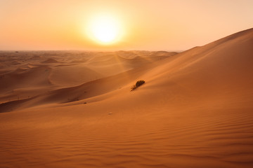 Wall Mural - Al Khatim Desert Abu Dhabi