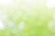 Natural blurred summer background of green foliage illuminated by sunlight (abstract, bokeh, toned)
