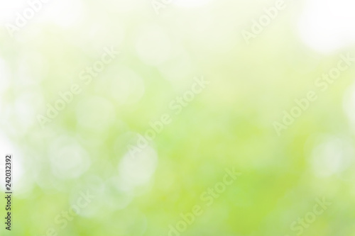 Fotografie, Obraz Natural blurred summer background of green foliage illuminated by sunlight (abst