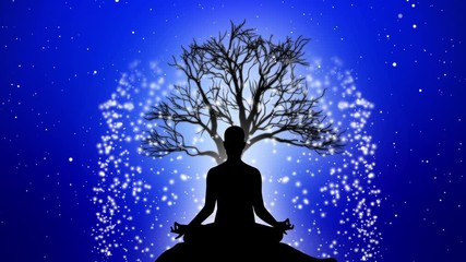 Wall Mural - Silhouette Meditation Animation with Particle