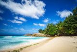 Fototapeta Sawanna - beautiful paradise tropical beach,palms,rocks,white sand,turquoise water, seychelles 32