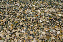 Wet Sea Stones On The Shore Of The Clear Summer Sea. Background