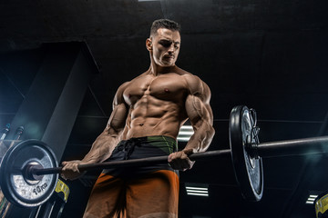 Wall Mural - Young handsome sexy man, athlete, bodybuilder, weightlifter, in a modern gym is covered with a dark background, doing exercises for the biceps using sporting goods - weights. 