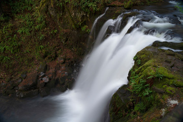  Majestic Fall at McDowell Creek Fall County Park in Oregon