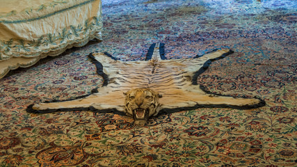 Real tiger carpet in the palace