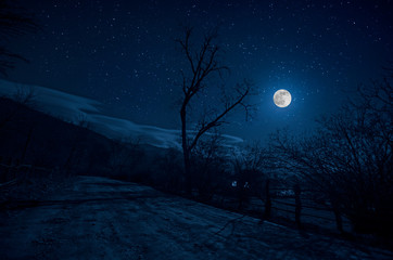 Wall Mural - mountain road through the forest on a full moon night. scenic night landscape of dark blue sky with 