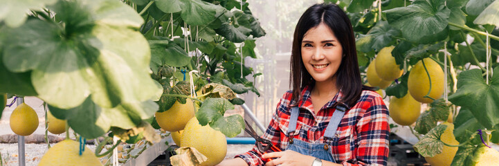 One young beautiful Asian female farmer having happy smile and wearing red checkered shirt while working inside farm agriculture garden - banner size with copy space.