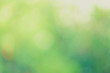 © jangnhut - Green bio background, abstract blurred foliage bright sunlight. Organic design nature abstract background with copyspace for text advertising design.  Green abstract light background and bokeh effect