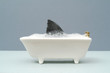 shark fin in bath in a grey setting