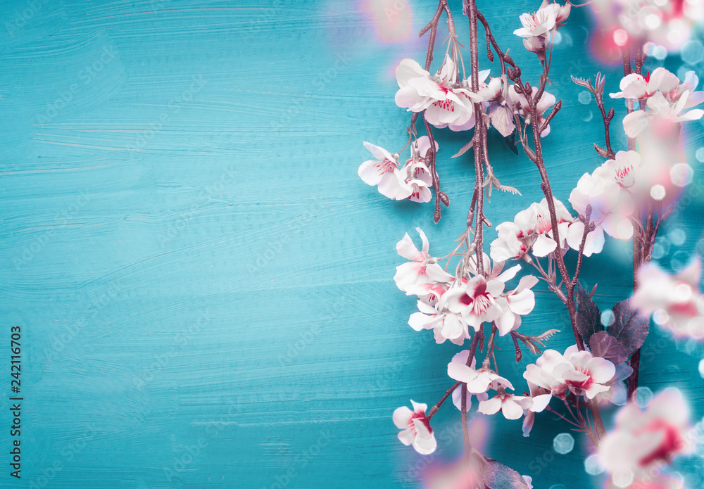 Pretty spring cherry blossom branches on turquoise blue background with copy space for your design. Springtime holidays and nature concept - obrazy, fototapety, plakaty 