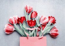 Red Tulips Bunch In Paper Shopping Bag At Gray Background. Festive Spring Flowers. Floral Composing. Springtime Holiday And Greeting Concept. Copy Space For Your Design