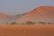 Sandsturm im Namib-Naukluft-Nationalpark in der Sossusvlei-Region in Namibia