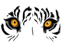  Tiger Eyes