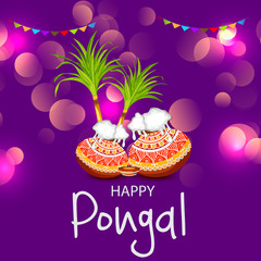 Canvas Print - Happy Pongal.