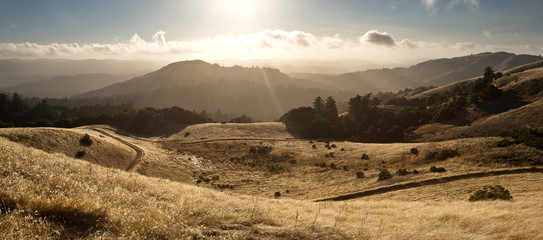 In California's Santa Cruz Mountains, moisture flows in from the Pacific Ocean in Late Summer