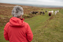 Senior Woman Overlooking Wild Horses On Marsh Land 