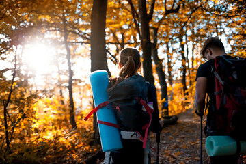 Wall Mural - travelers while trekking with backpacks on forest trail