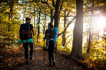 Wall Mural - travelers while trekking with backpacks on forest trail